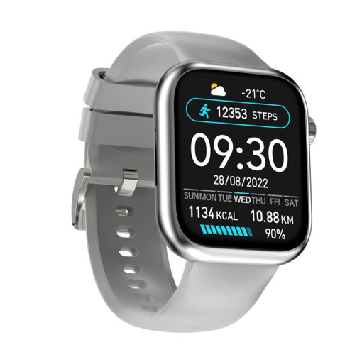 Picture of iOsuite Smart Watch - Gray - FBW40