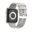 Picture of iOsuite Smart Watch - Gray - FBW40