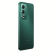Picture of OPPO A5 4G (6+128) GB - Aurora Green